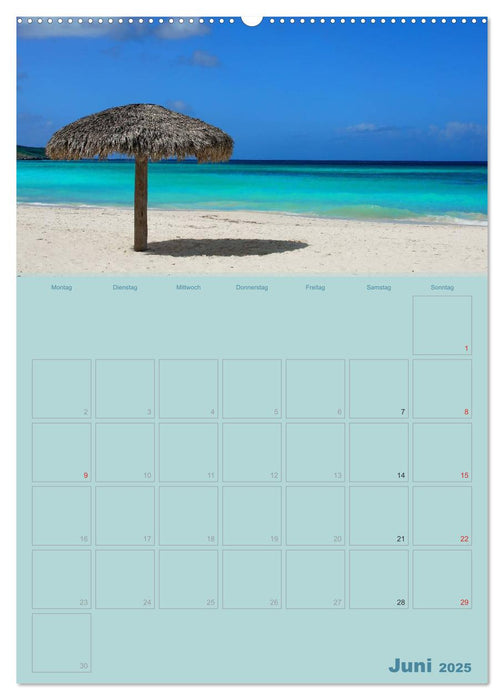 Karibik - Sonne, Strand und Palmen (CALVENDO Premium Wandkalender 2025)