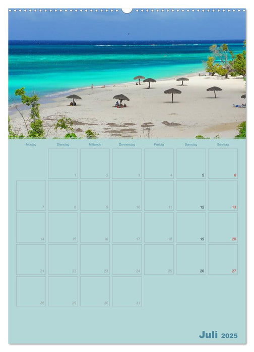 Karibik - Sonne, Strand und Palmen (CALVENDO Premium Wandkalender 2025)