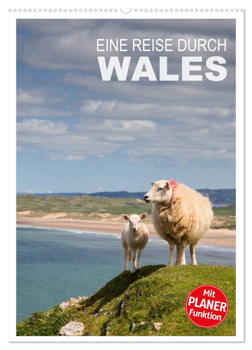 Eine Reise durch Wales (CALVENDO Wandkalender 2025)