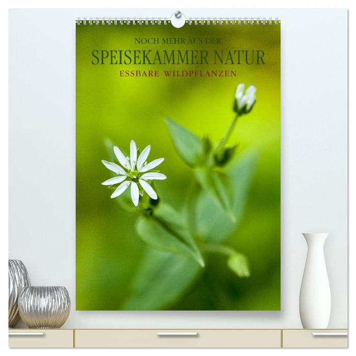 NOCH MEHR AUS DER SPEISEKAMMER NATUR (CALVENDO Premium Wandkalender 2025)