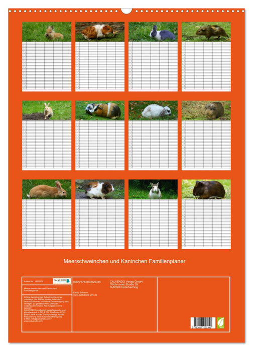 Meerschweinchen und Kaninchen Familienplaner (CALVENDO Wandkalender 2025)