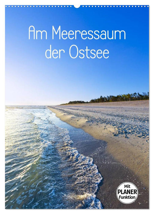 Am Meeressaum der Ostsee (CALVENDO Wandkalender 2025)