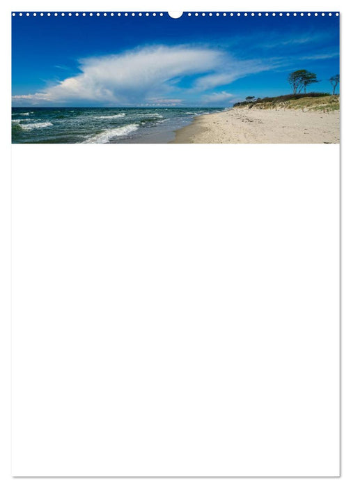 Am Meeressaum der Ostsee (CALVENDO Wandkalender 2025)