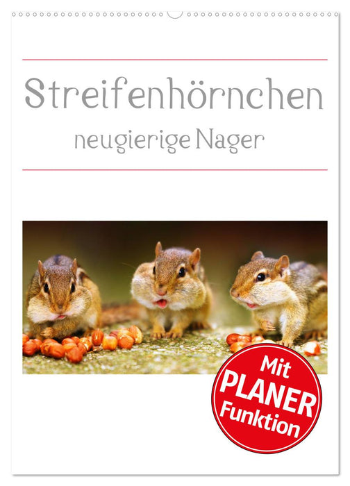 Streifenhörnchen - neugierige Nager (CALVENDO Wandkalender 2025)