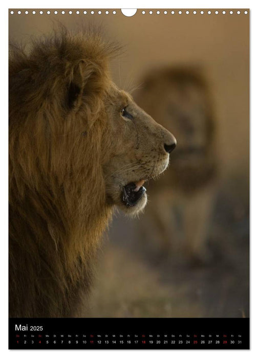 Kenia, Tiere in der Masai Mara (CALVENDO Wandkalender 2025)