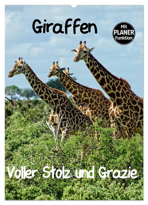 Giraffen. Voller Stolz und Grazie (CALVENDO Wandkalender 2025)