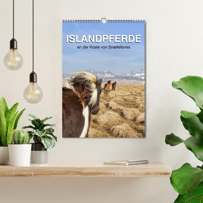 ISLANDPFERDE an der Küste von Snæfellsnes (CALVENDO Wandkalender 2025)