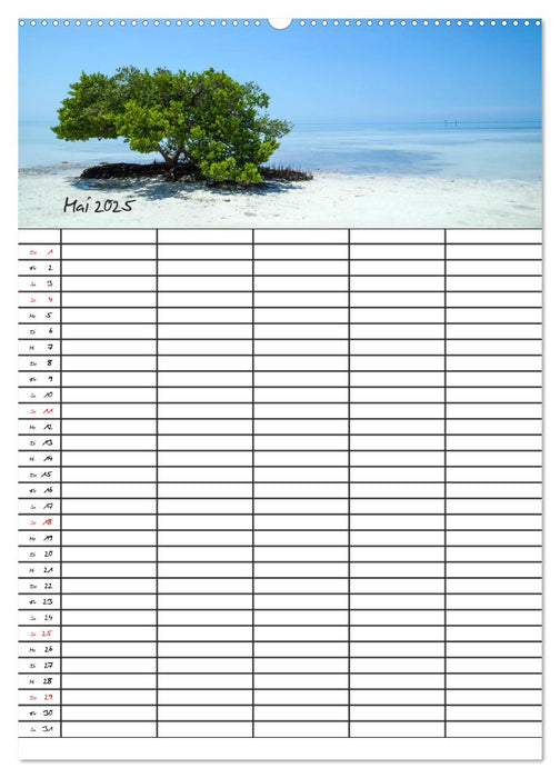 Idyllisches Florida / Familienplaner (CALVENDO Wandkalender 2025)