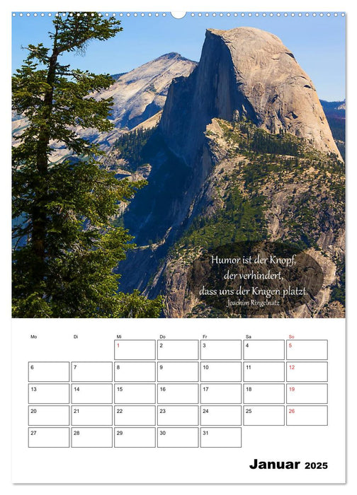 USA - Rotes Land und Baumgeflüster (CALVENDO Wandkalender 2025)