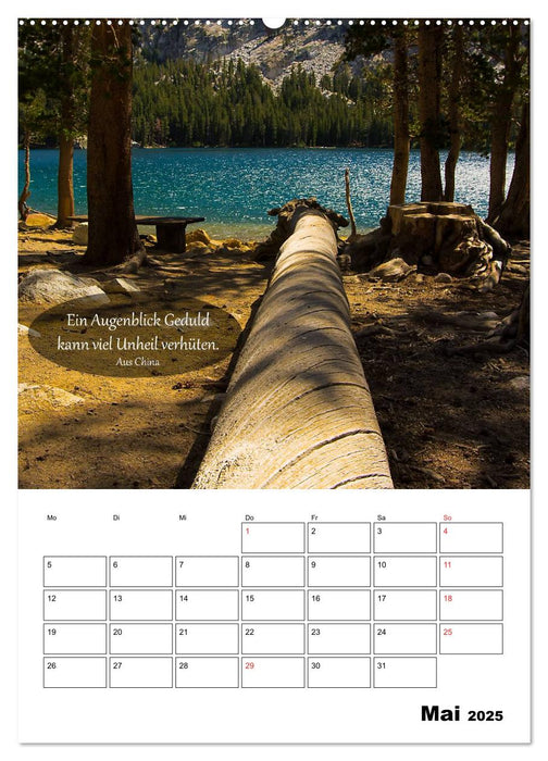 USA - Rotes Land und Baumgeflüster (CALVENDO Wandkalender 2025)