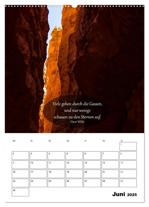 USA - Rotes Land und Baumgeflüster (CALVENDO Wandkalender 2025)