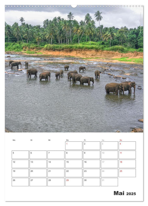 Sri Lanka 2025 - Exotisches Paradies - Jahresplaner (CALVENDO Premium Wandkalender 2025)