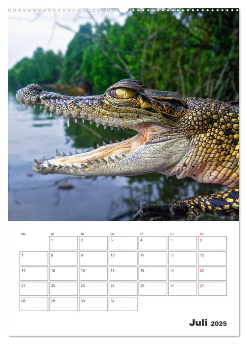 Sri Lanka 2025 - Exotisches Paradies - Jahresplaner (CALVENDO Premium Wandkalender 2025)