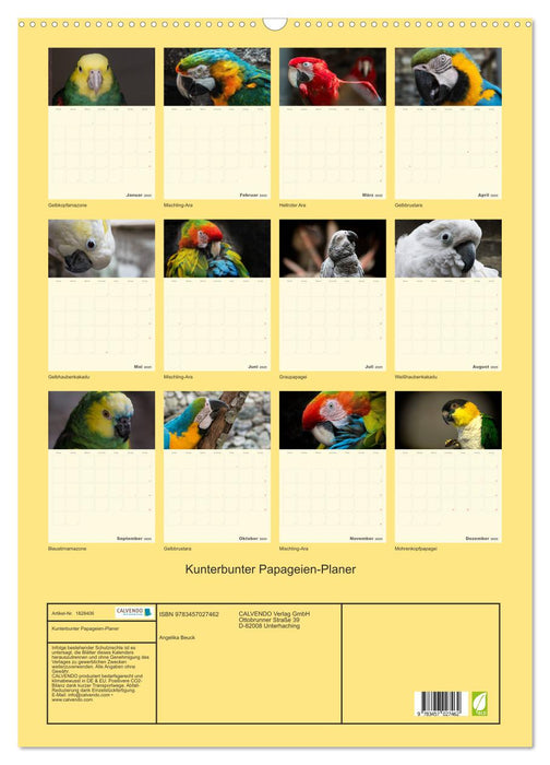 Kunterbunter Papageien-Planer (CALVENDO Wandkalender 2025)