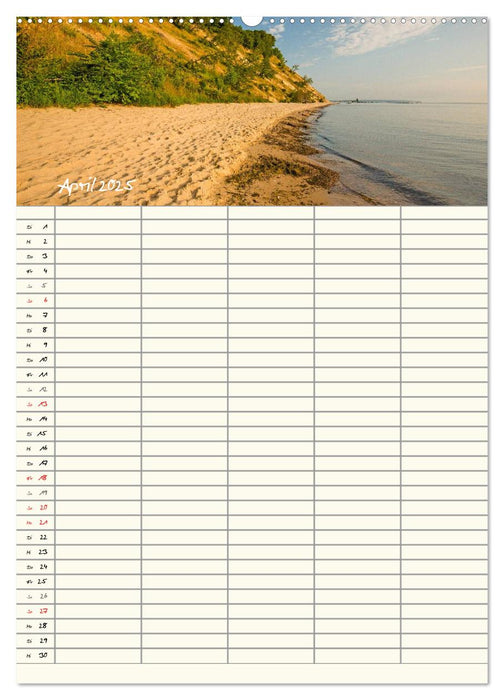 Rügen - Urlaubsparadies an der Ostsee - Familienplaner (CALVENDO Wandkalender 2025)