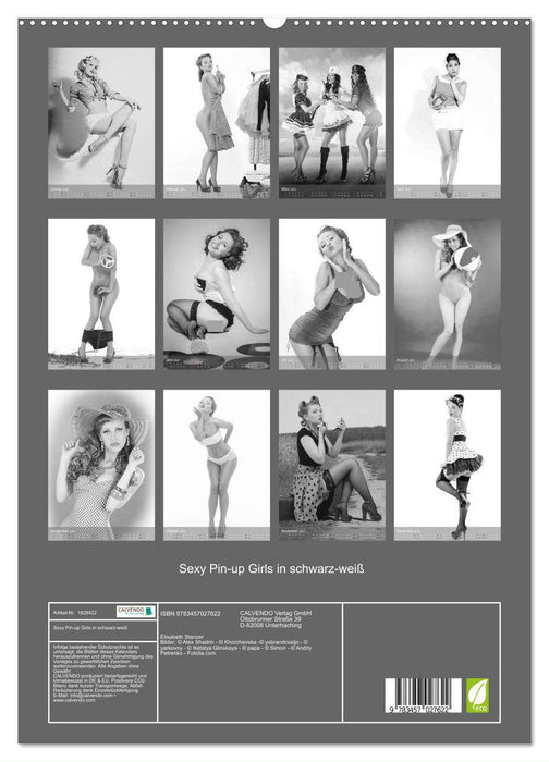 Sexy Pin-up Girls in schwarz-weiß (CALVENDO Premium Wandkalender 2025)
