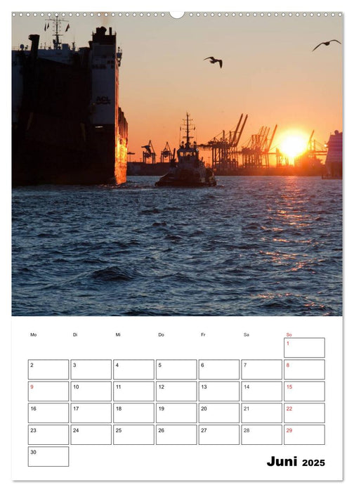 Schönes Hamburg (CALVENDO Premium Wandkalender 2025)