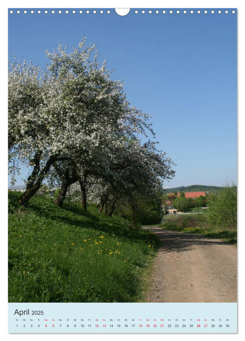 Ebern - Liebenswerte Stadt in Franken (CALVENDO Wandkalender 2025)