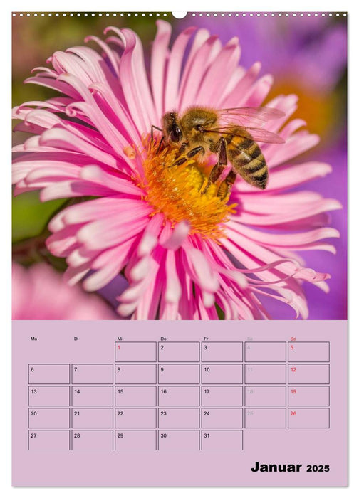 Bienenplaner (CALVENDO Premium Wandkalender 2025)