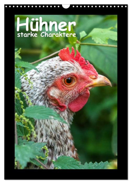 Hühner - starke Charaktere (CALVENDO Wandkalender 2025)