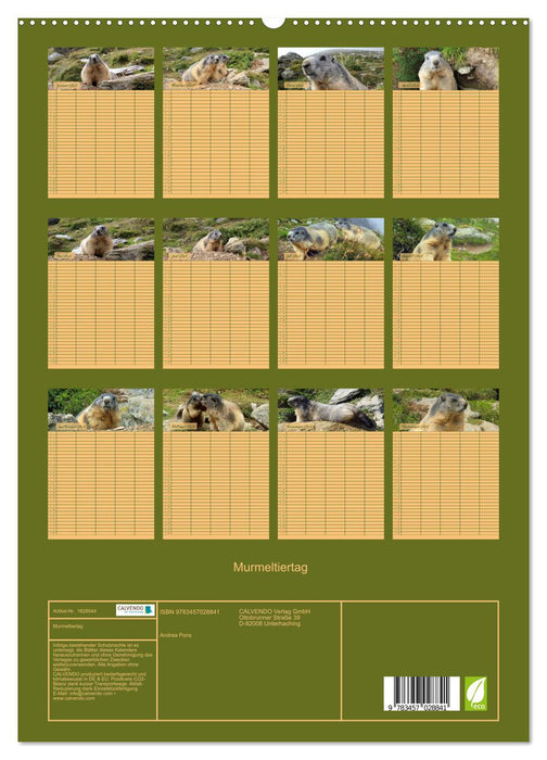 Murmeltiertag (CALVENDO Premium Wandkalender 2025)