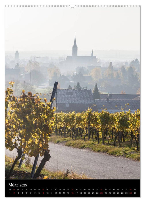 Iphofen - Wein und Kultur (CALVENDO Premium Wandkalender 2025)