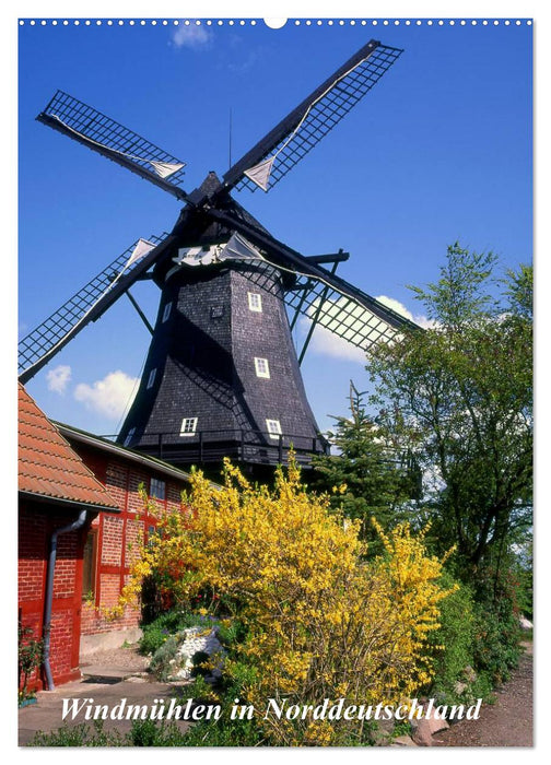 Windmühlen in Norddeutschland (CALVENDO Wandkalender 2025)