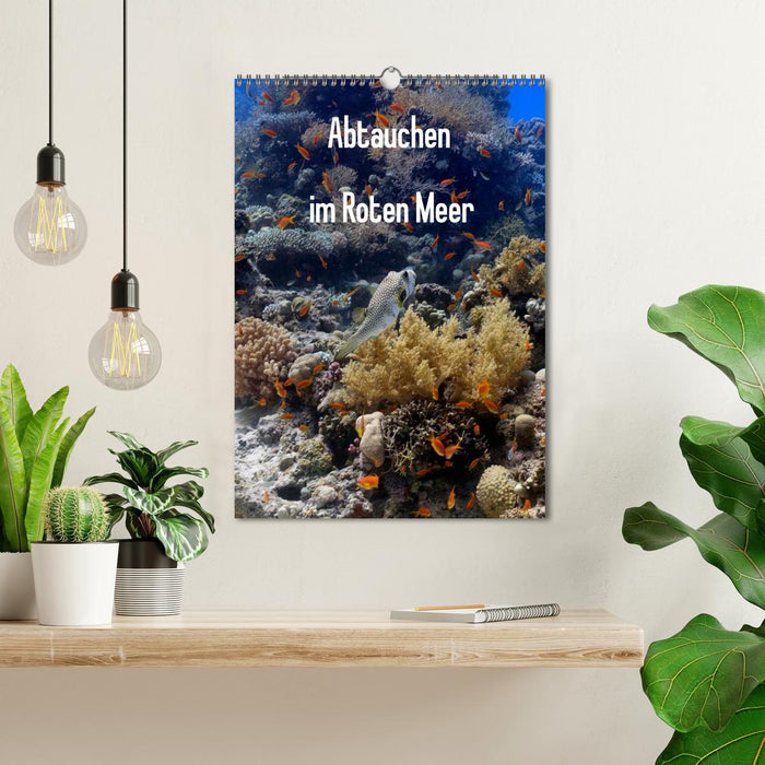 Abtauchen im Roten Meer (CALVENDO Wandkalender 2025)