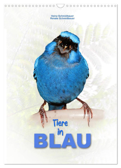 Tiere in Blau (CALVENDO Wandkalender 2025)