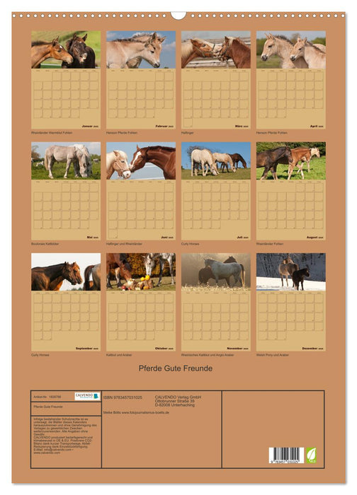 Pferde Gute Freunde (CALVENDO Wandkalender 2025)