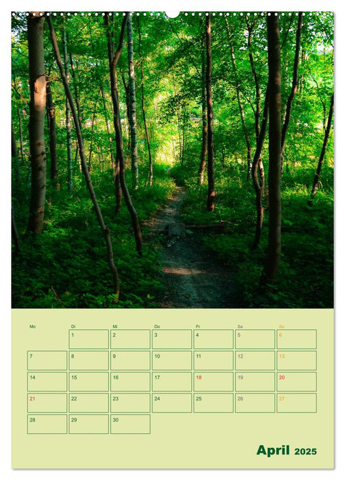 Wald- und Wiesenkalender 2025 Planer (CALVENDO Premium Wandkalender 2025)