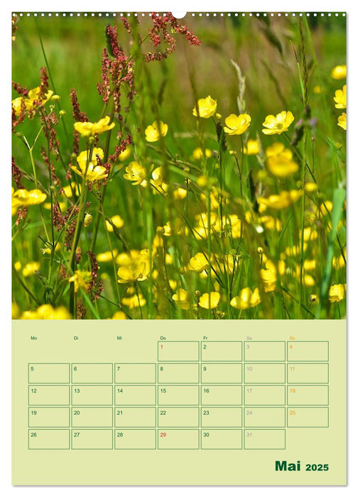 Wald- und Wiesenkalender 2025 Planer (CALVENDO Premium Wandkalender 2025)