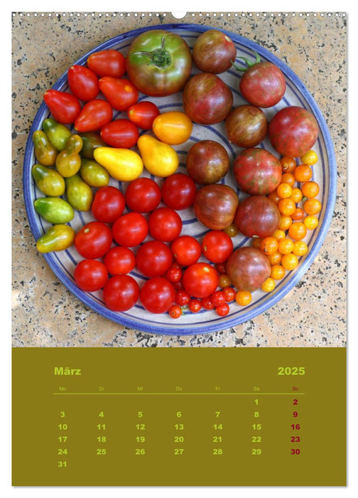 Tomaten - Alles BIO! (CALVENDO Premium Wandkalender 2025)