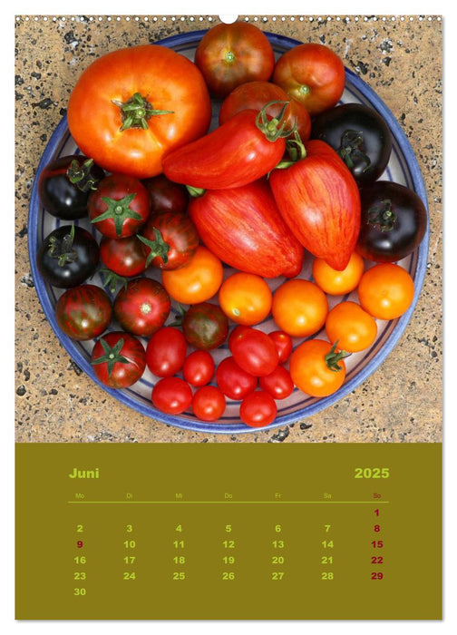 Tomaten - Alles BIO! (CALVENDO Premium Wandkalender 2025)