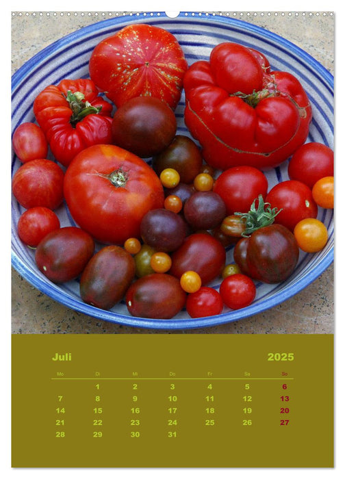 Tomaten - Alles BIO! (CALVENDO Premium Wandkalender 2025)