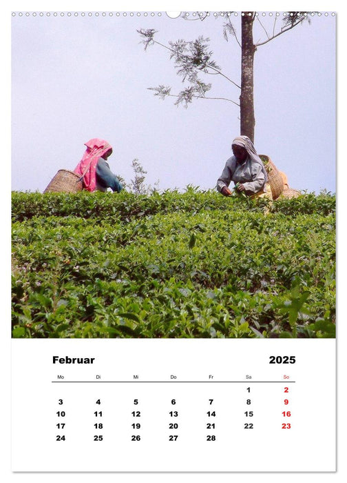 In Kerala (CALVENDO Premium Wandkalender 2025)