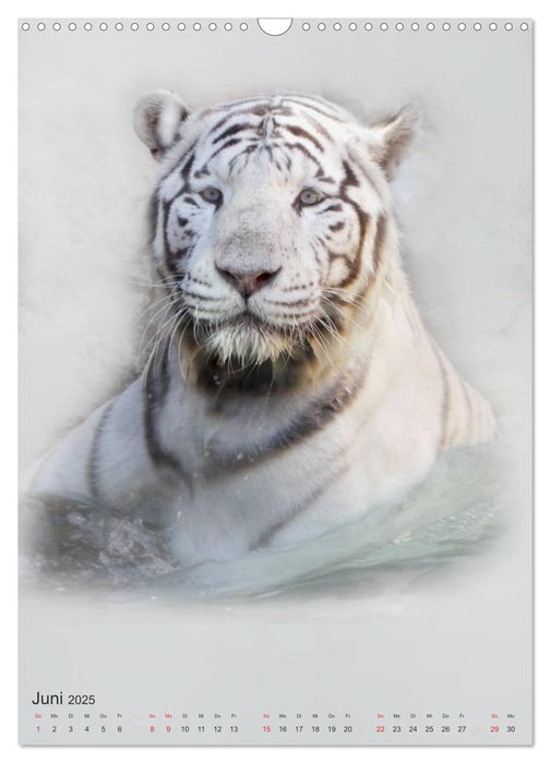 Tiere in Weiß (CALVENDO Wandkalender 2025)