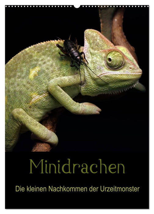 Minidrachen - Die kleinen Nachkommen der Urzeitmonster (CALVENDO Wandkalender 2025)