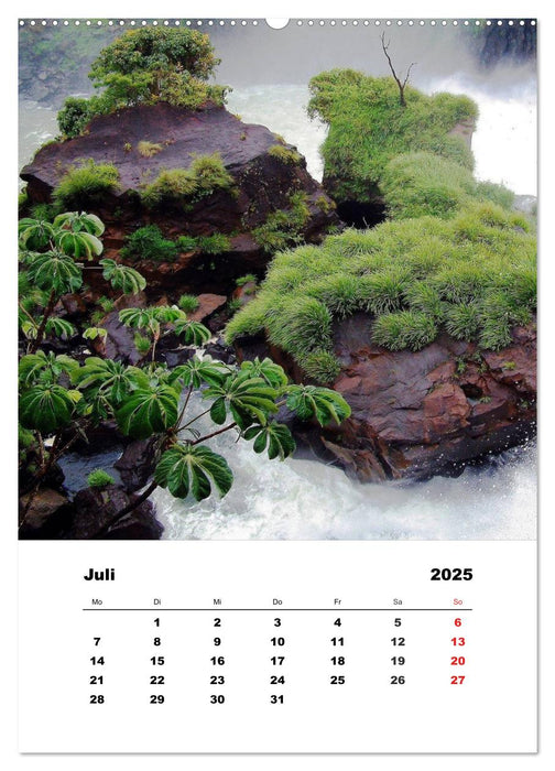 Brasilien - Amazonien bis Iguaçu (CALVENDO Premium Wandkalender 2025)