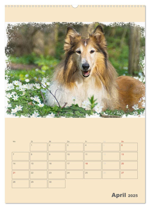 Hunde in Aquarell - Jahresplaner (CALVENDO Premium Wandkalender 2025)