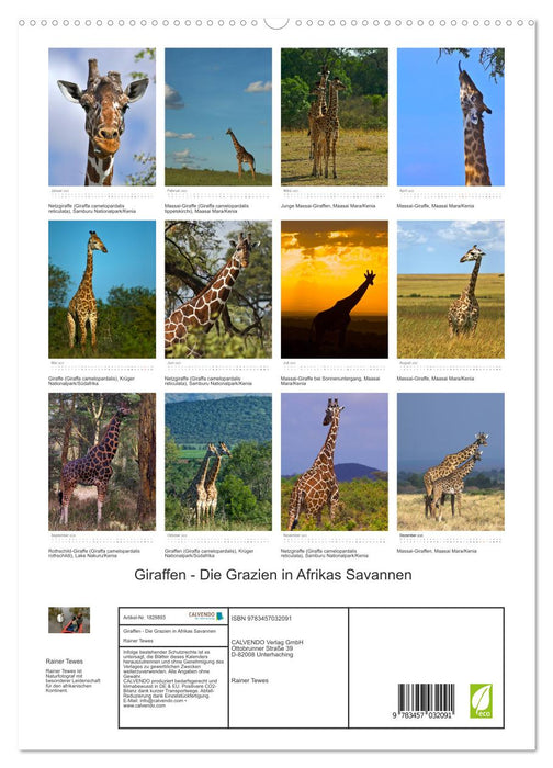 Giraffen - Die Grazien in Afrikas Savannen (CALVENDO Premium Wandkalender 2025)