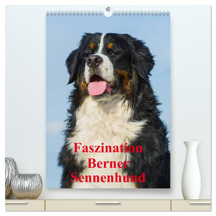 Faszination Berner Sennenhund (CALVENDO Premium Wandkalender 2025)