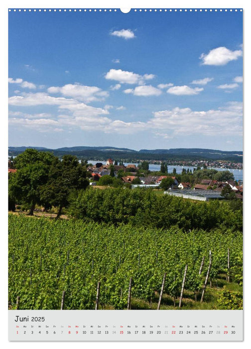 Insel Reichenau - Gemüseinsel im Bodensee (CALVENDO Premium Wandkalender 2025)