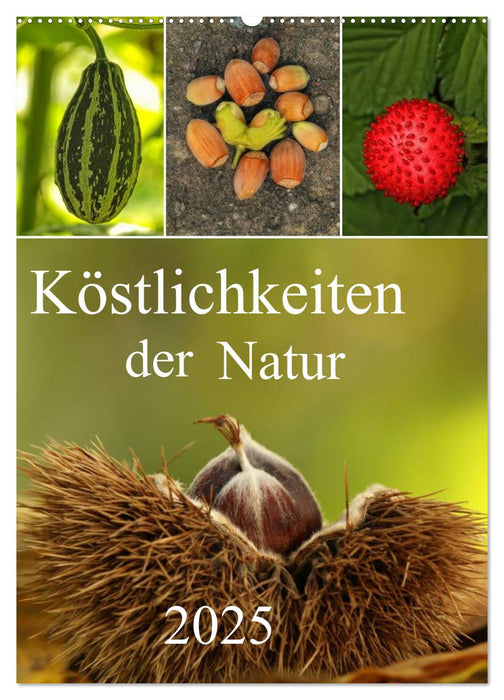 Köstlichkeiten der Natur 2025 (CALVENDO Wandkalender 2025)