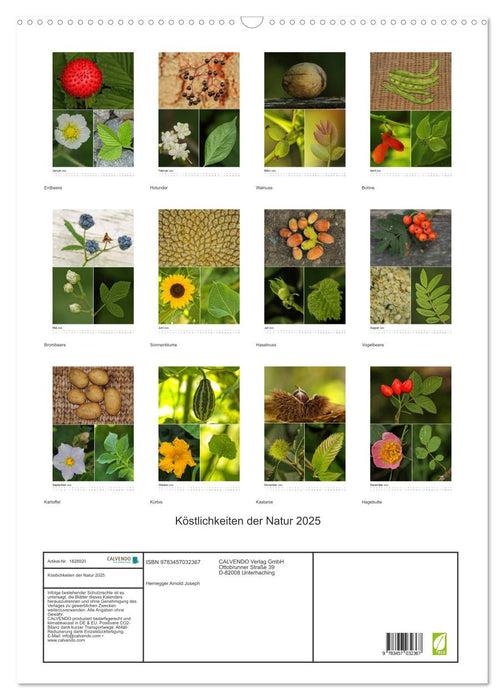 Köstlichkeiten der Natur 2025 (CALVENDO Wandkalender 2025)