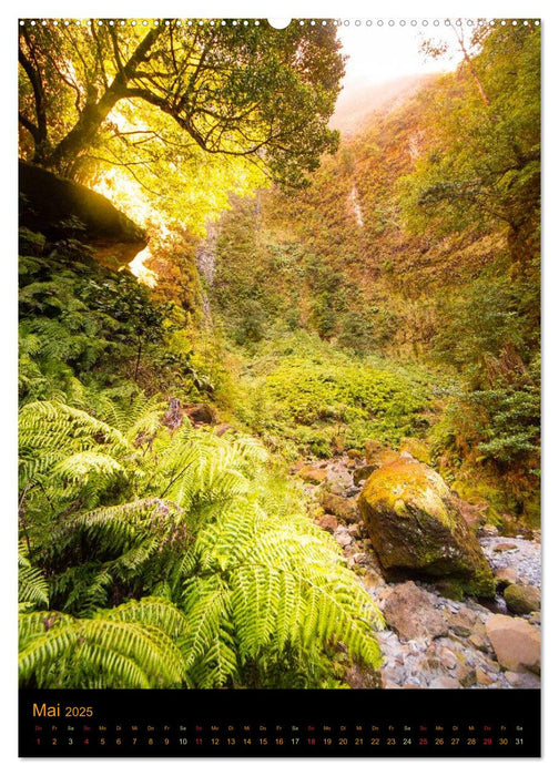 Madeira Ansichten (CALVENDO Wandkalender 2025)