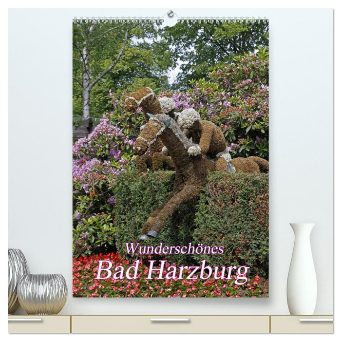 Wunderschönes Bad Harzburg (CALVENDO Premium Wandkalender 2025)
