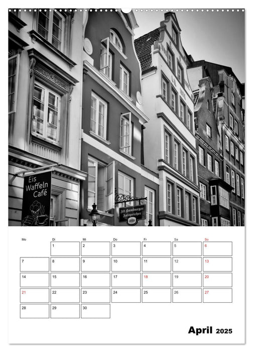 HAMBURG Monochrome Ansichten (CALVENDO Wandkalender 2025)