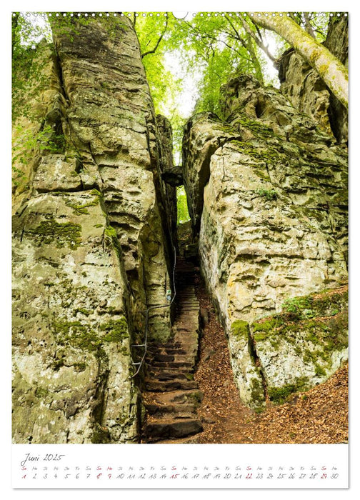 Zauberhafte Eifel (CALVENDO Wandkalender 2025)