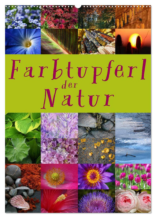 Farbtupferl der Natur (CALVENDO Wandkalender 2025)